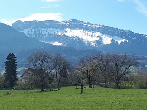 Maison Enti�re Dans Un Parc Arbor� En Haute-savoie