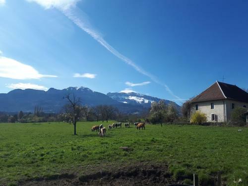 Maison Enti�re Dans Un Parc Arbor� En Haute-savoie