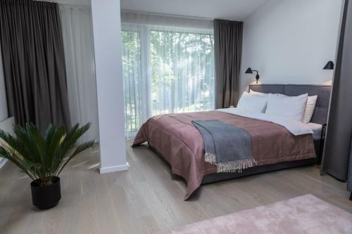 Apartments Laisve