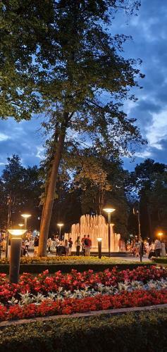 Apartamento Relax Inn Druskininkai