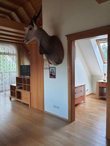 Apartamentai Hunter House