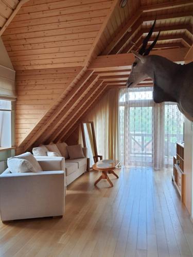 Apartamentai Hunter House