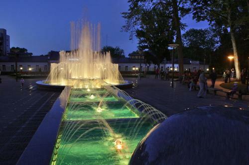 Apartment In Druskininkai City Centre