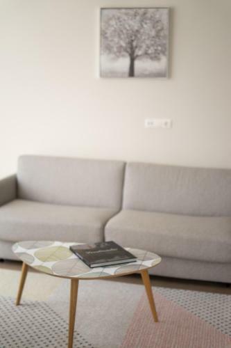Apartment In Druskininkai City Centre