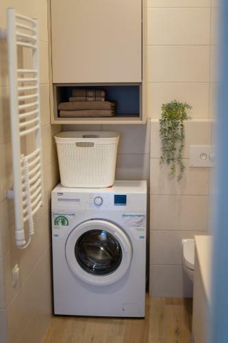 Apartment In Druskininkai City Centre