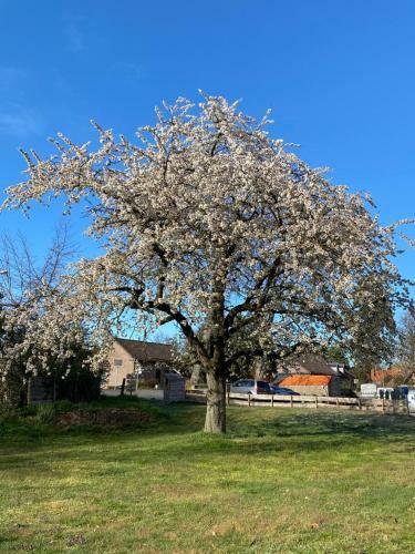B&B Op De Soursehof