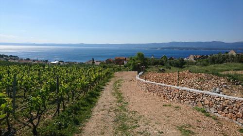 Holiday Home Vineyard House