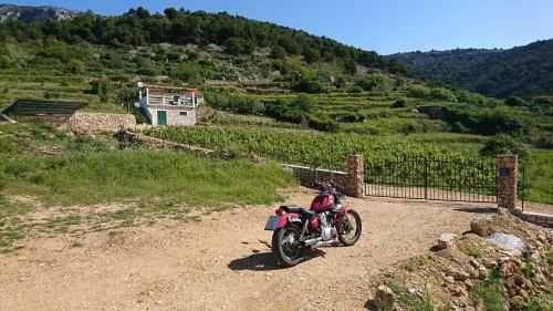 Holiday Home Vineyard House