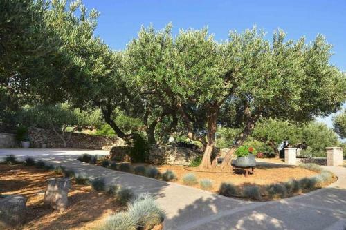Apartamentos Villa Franka