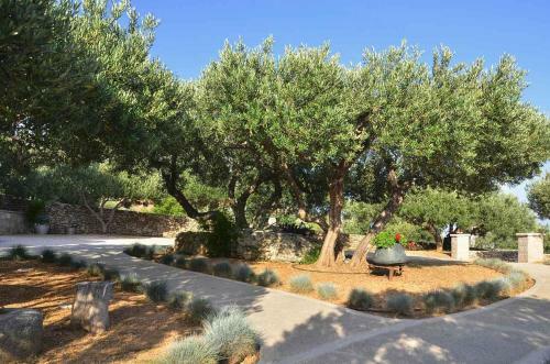 Apartamentos Villa Franka