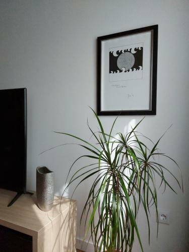 Center Apartment Golden Ray