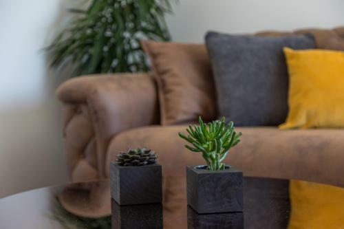 Apartamentos Pleasure Bol