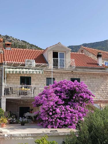 Apartamentos Villa Slavica