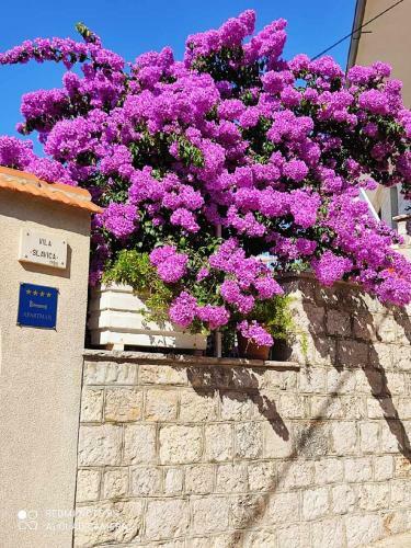 Apartamentos Villa Slavica