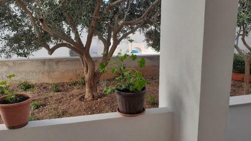 Apartments Slavica