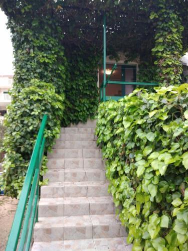 Apartamento Green Oasis