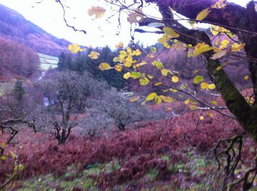 Hostal Bryncelyn Guesthouse
