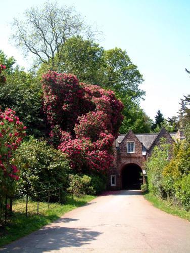 Hostal Aveland House Babbacombe