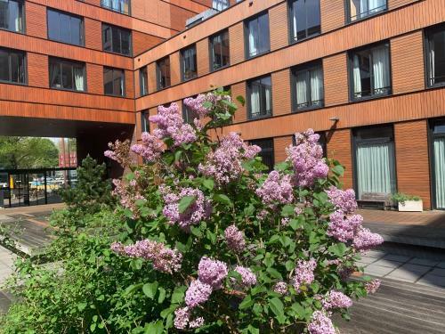 Apartamento Studio-apartment In City-center