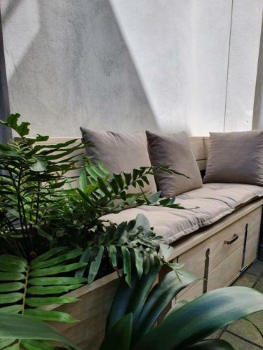 Apartamento Huis Roomolen