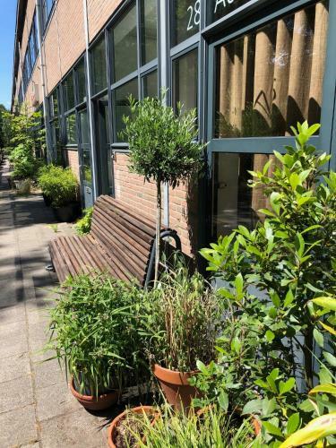 Bed & Breakfast Studio 28a6 With Free Parking Place