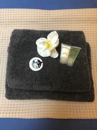 Bed & Breakfast Singel Residence