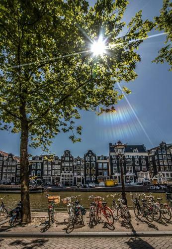 Bed & Breakfast Singel Residence