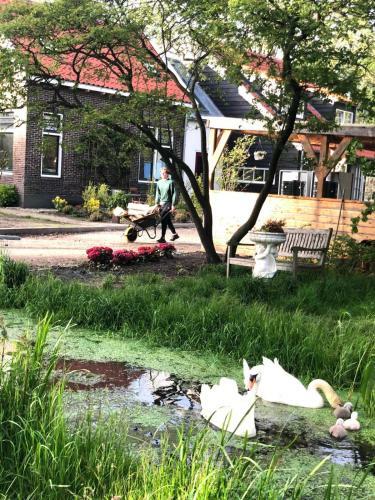 Apartamento Homestead Amsterdam