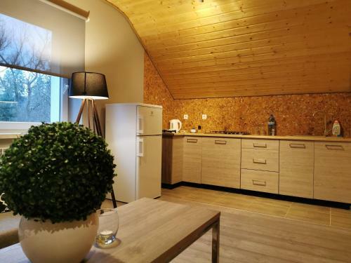 Apartamento O?rodek Volfcamp Kwaszenina