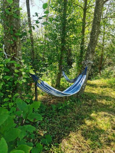 Apartamento O?rodek Volfcamp Kwaszenina
