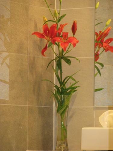 Bed & Breakfast Prinsenstede Lodging Amsterdam