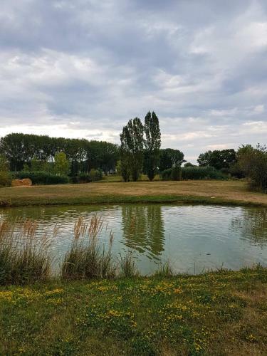 Eliza Birdland Golf Apartman