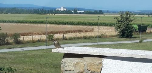 Eliza Birdland Golf Apartman