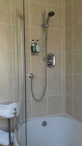 B&B At 37