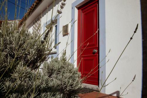 Casa Das Alfazemas Com Piscina, Jardim E Snooker