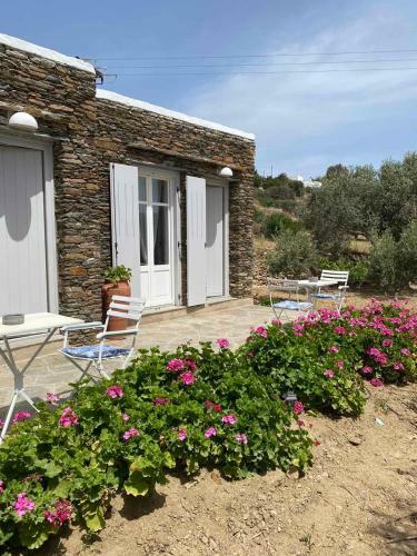 Apartamento Rose Studio