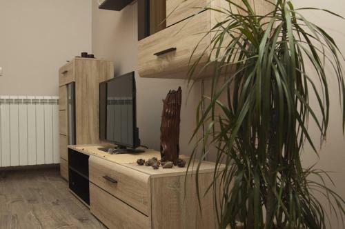 Apartment Petrovi?