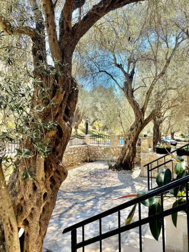 Apartments Eman Resort