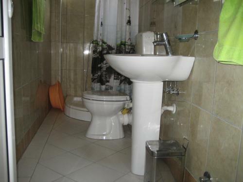Hostal Guest House Vila Mimoza