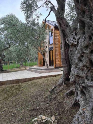 Apartamento Olea Cottage