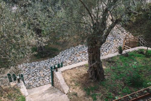 Cottage Four Olives