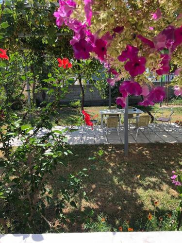 Apartmani Sara