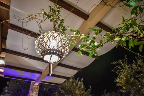 Giardino Lux Apartments