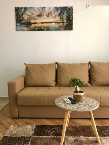 Apartments Albin