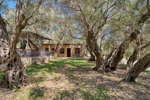 Apartamento Stonehouse In Olives