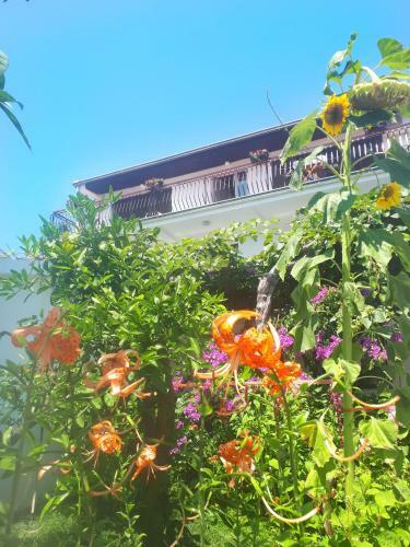 Hostal Guesthouse Dona