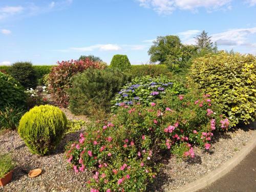 Bed & Breakfast Antrim Heights Bnb
