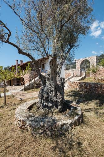 Aradena Traditional House 2
