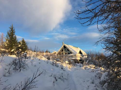 Lodge Bj�rk - A Cozy Hilltop Cottage - Great Location!