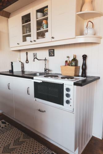 Lodge Bj�rk - A Cozy Hilltop Cottage - Great Location!
